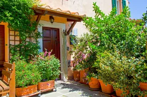 B&B Casa Delle Camelie - Image 4