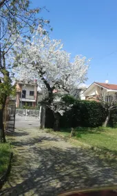 B&B Candiolo Comfort - Image 5