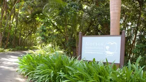 Villa Athena - Image 5