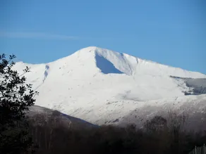Lane Rigg - Image 2