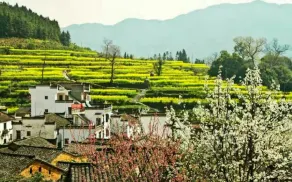 Jiangling Scenery Inn - Image 5