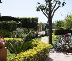 B&B l'Anfora - Image 4