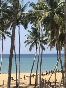 Aozora Beach - Image 5