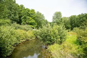 Tentrr - Clove Valley Creek -  Campsite - Image 5