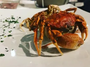 Albergo Ristorante Castello - Image 3