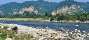 Vanya River Lodge - Image 3