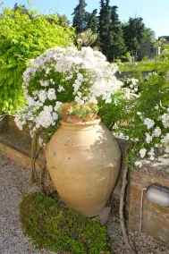 Relais Mastro Cinghiale - Image 5