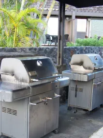 Colony I at Sea Mountain in Pahala - Image 3