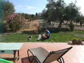 Finca Casa Halcon - Image 4