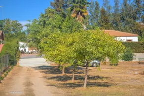 Villa Concha - Image 4