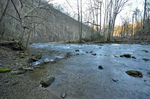 Nantahala Riverside 3 Bedroom Cabin by RedAwning - Image 3