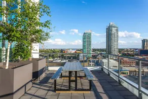 Heart of Dt,a/c,stampede,dome,bmo,roof Patio,bbq,gym - Image 2