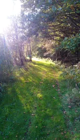 House With 5 Bedrooms in Bertogne, With Wonderful Lake View, Enclosed Garden and Wifi - Image 3