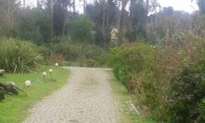 House With one Bedroom in Espinho, With Furnished Garden and Wifi - 4 km From the Beach - Image 2