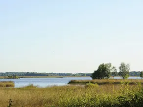 Comfortable Bungalow With a Fireplace, not far From Assen - Image 3