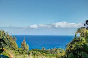 Hale Luana (big Island) 4 Bedroom Home - Image 3