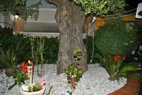 II Nido Residence-Country House - Image 4