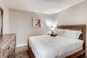 Gorgeous 3 BR Loft In Heart of Gaslamp - Image 4