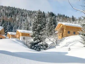 Enzian Steuer in Steuer - Image 2