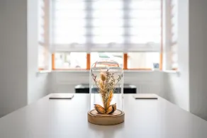 Juda House - Image 4