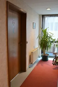 Hotel zum Brunnen - Image 2