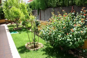 Villa Romana Granada - Image 4