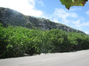 Cayman Breakers - Image 3