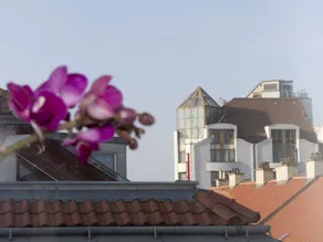 Mariahilf Terrace by Welcome2vienna - Image 3