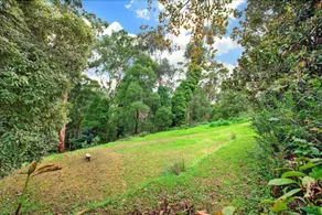 Wildwood Lodge - Image 4