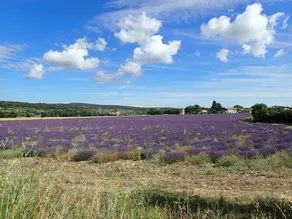 Gîte de l'ASPA - Image 4