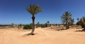 Villa With 4 Bedrooms in Djerba Island, With Wonderful sea View, Priva - Image 4