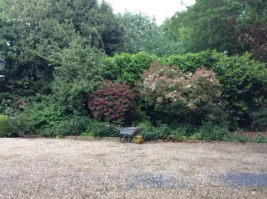 Delamore House - Image 5
