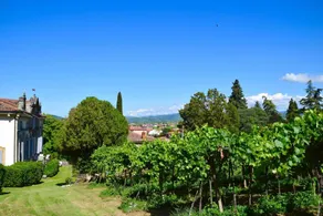 Villa Faccioli Deodara - Image 2