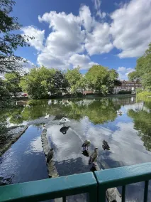 Immaculate 1-bed Apartment in Orpington - Image 3