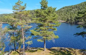 Beautiful Home in Søgne With 3 Bedrooms - Image 4
