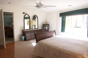 Tree Top Bed & Breakfast - Image 2