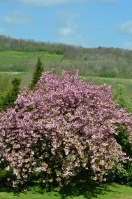 Le Manoir de Bonningues les Ardres - Image 5