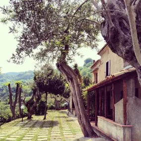 Il Casale dell'Ingegnere - Image 2