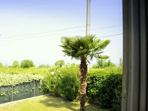 Near the Harbour and Sandbeach of Pacengo di Lazise - Image 3