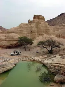 Shkedi's Camplodge - Image 2