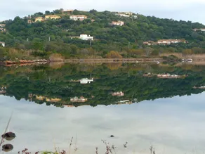 Appartement de 2 chambres avec piscine partagee terrasse et wifi a Porto Vecchio a 3 km de la plage - Image 4