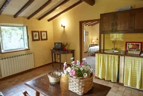 Azienda Agrituristica L'Ulivo - Image 5