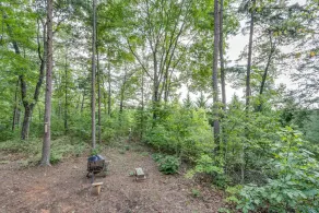 Dogwood Cabin - Image 5