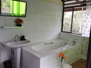 eucalyptus Treehouse - Image 4