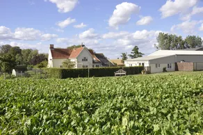 Countryside Retreat Cottage in Suffolk, England - Image 4