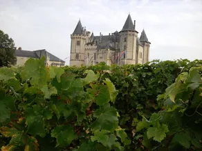 Le Logis des Roches d'Antan - Image 3