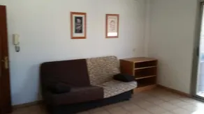Olivo - Image 2