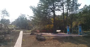 Jeju Youth Hostel - Image 4