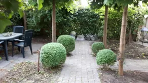 Royale Lichte Zolder Verdieping - Image 5