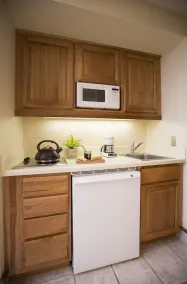 Lodge at Tamarron - Image 3